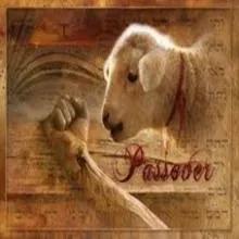 Lamb